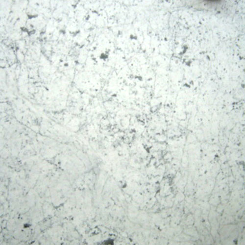 Carrara Gioia Dalmata
